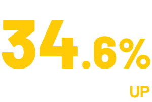 34.6%