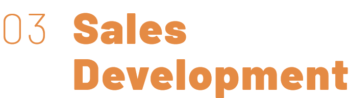 03 Sales Development
